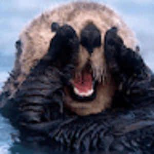 Meet your Posher, Mallory